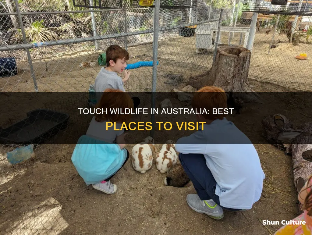 where to touch animals in australia