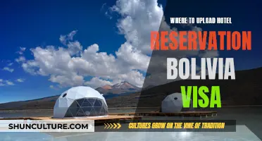 Hotel Reservation Upload Platforms for Bolivia Visa Applications