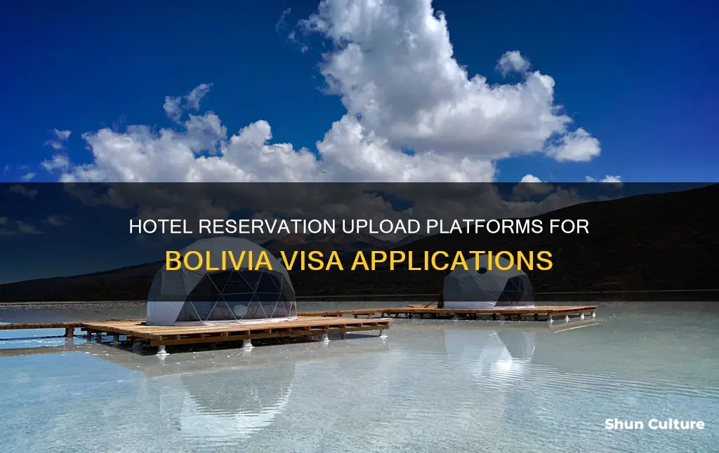 where to upload hotel reservation bolivia visa