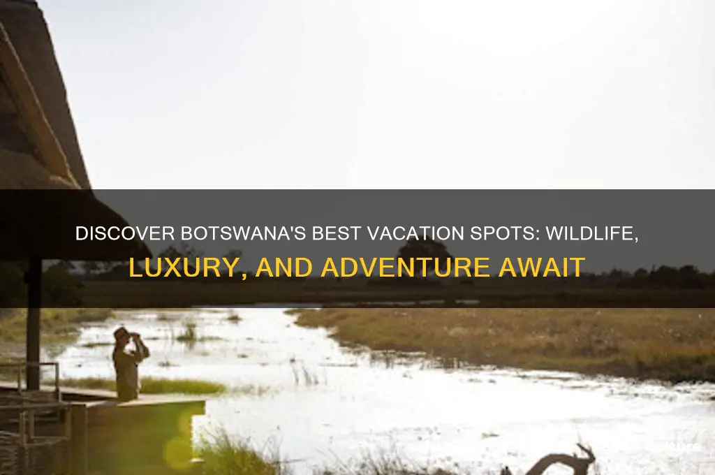 where to vacation in botswana