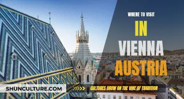 Vienna's Historic Charm: Top Attractions for a Memorable Visit