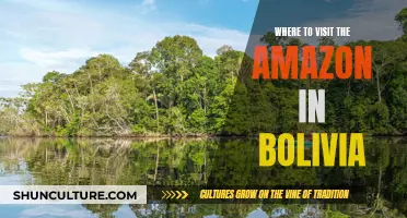 Exploring the Amazon in Bolivia: Best Places to Visit