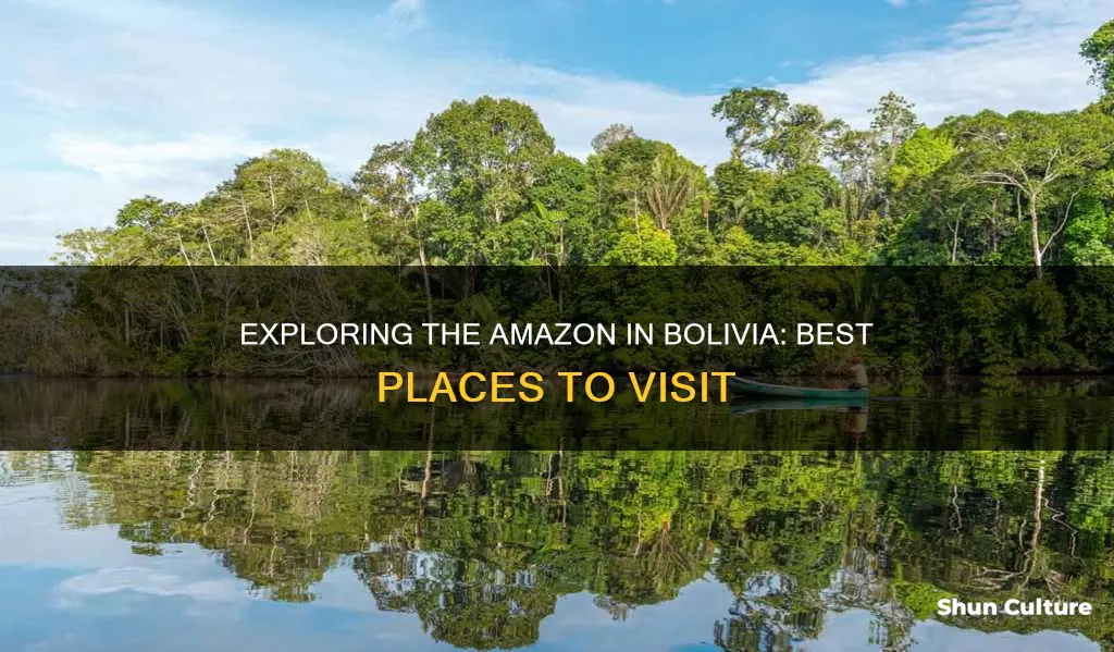 where to visit the amazon in bolivia