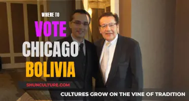 Chicago and Bolivia: Where to Vote?