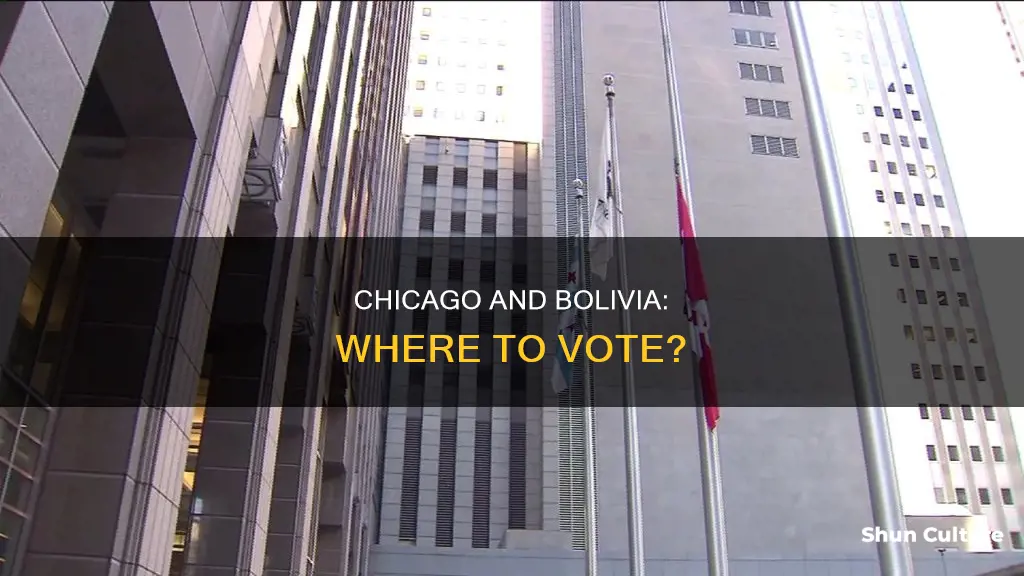 where to vote chicago bolivia