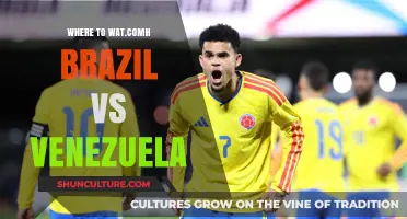Brazil vs Venezuela: Top Spots to Watch the Match in Style