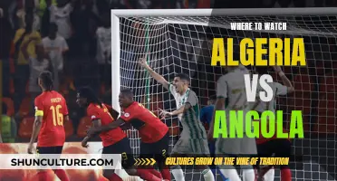 Best Sites to Watch Algeria vs Angola Live