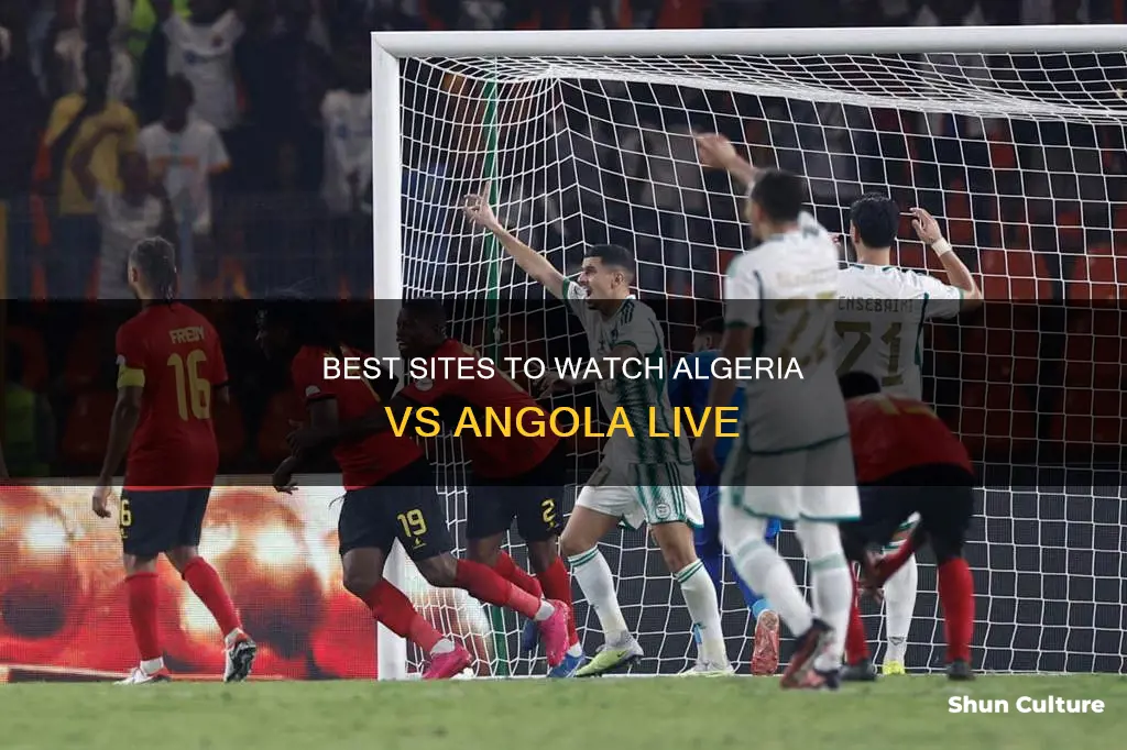 where to watch algeria vs angola