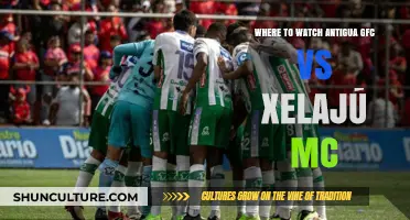 Antigua GFC vs Xelajú MC: Top Streaming Platforms to Watch Live