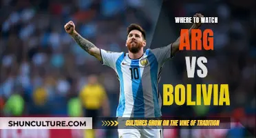 Streaming the Argentina-Bolivia Match: Best Platforms