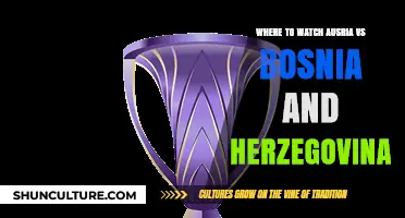 Where to Watch Austria vs Bosnia and Herzegovina Live: Streaming Guide