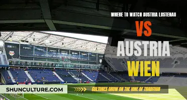 Austria Lustenau vs. Austria Wien: Where to Watch the Match