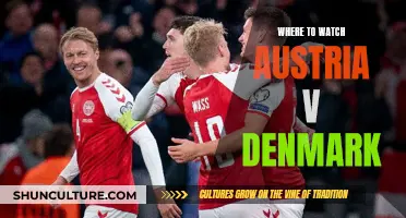 Austria vs Denmark: Best Places to Watch the Match