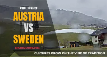 Austria vs Sweden: Where to Watch the Match Live