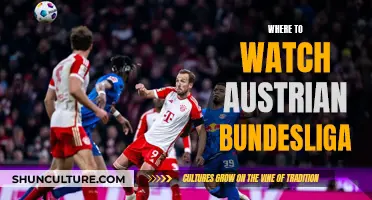 Stream Austrian Bundesliga: Top Platforms for Live Action