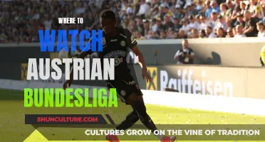 Best Platforms to Watch Austrian Bundesliga Live