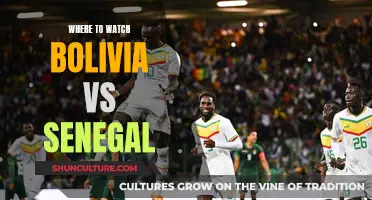 Best Sites to Watch Bolivia vs Senegal Live