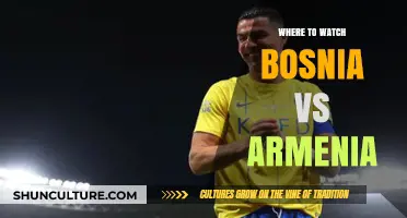 Bosnia vs Armenia: Top Streaming Platforms to Watch the Match Live