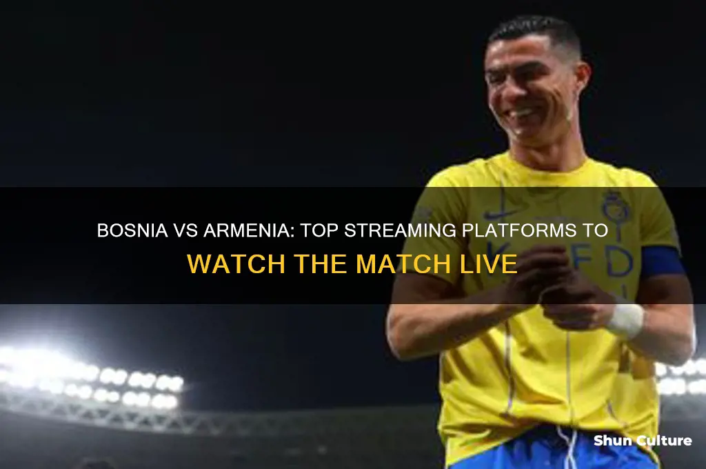 where to watch bosnia vs armenia