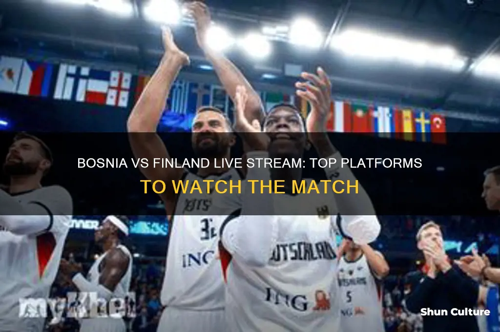 where to watch bosnia vs finland