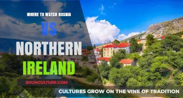 Bosnia vs Northern Ireland: Top Streaming Platforms to Watch Live