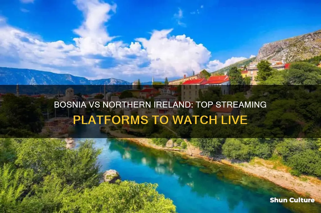 where to watch bosnia vs northern ireland