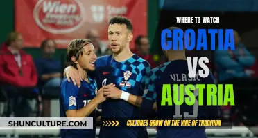 Croatia vs Austria: Best Places to Watch the Game