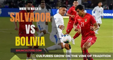 Streaming the El Salvador vs. Bolivia Match: Best Platforms