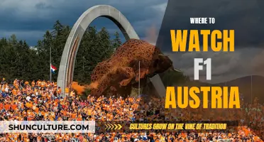 Best Places to Watch F1 Austria Grand Prix