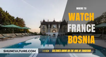 Where to Watch France vs Bosnia: Top Streaming Options