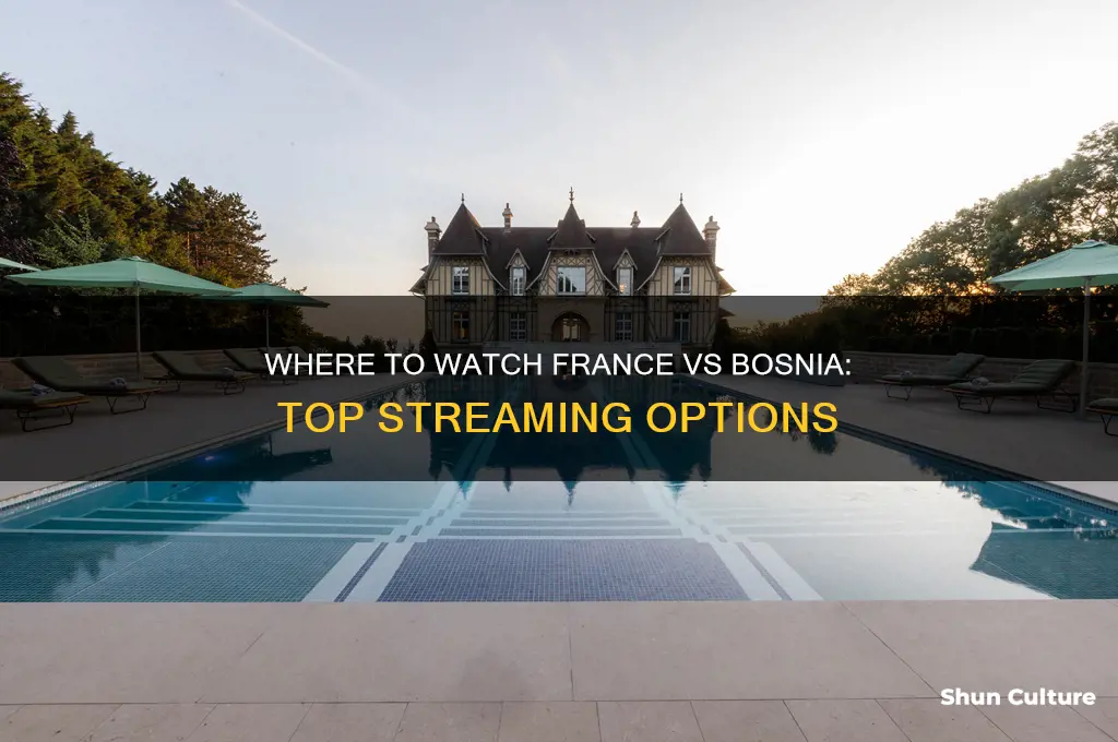 where to watch france bosnia