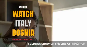 Where to Watch Italy vs Bosnia: Top Streaming Options