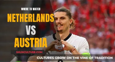 Netherlands vs. Austria: Where to Watch the Match Live