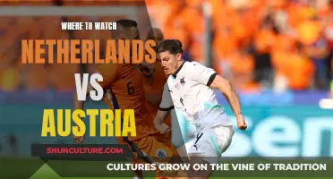 Best Live Streaming Options for Netherlands vs Austria