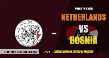 Where to Watch Netherlands vs Bosnia: Live Stream Guide