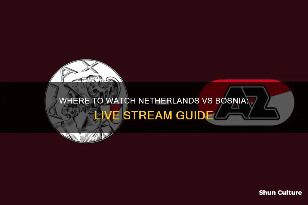 where to watch netherlands vs bosnia