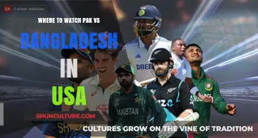 Watch Pakistan vs Bangladesh Live in USA: Top Streaming Options