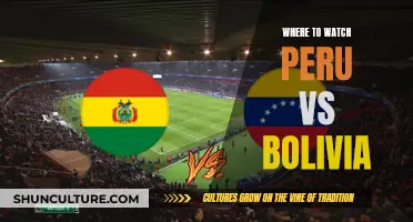 Watch Peru vs Bolivia: Streaming Options for the Match