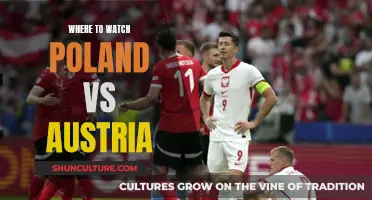 Best Live Streaming Options for Poland vs Austria