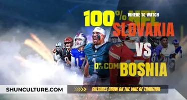 Slovakia vs Bosnia: Top Streaming Platforms to Watch the Match