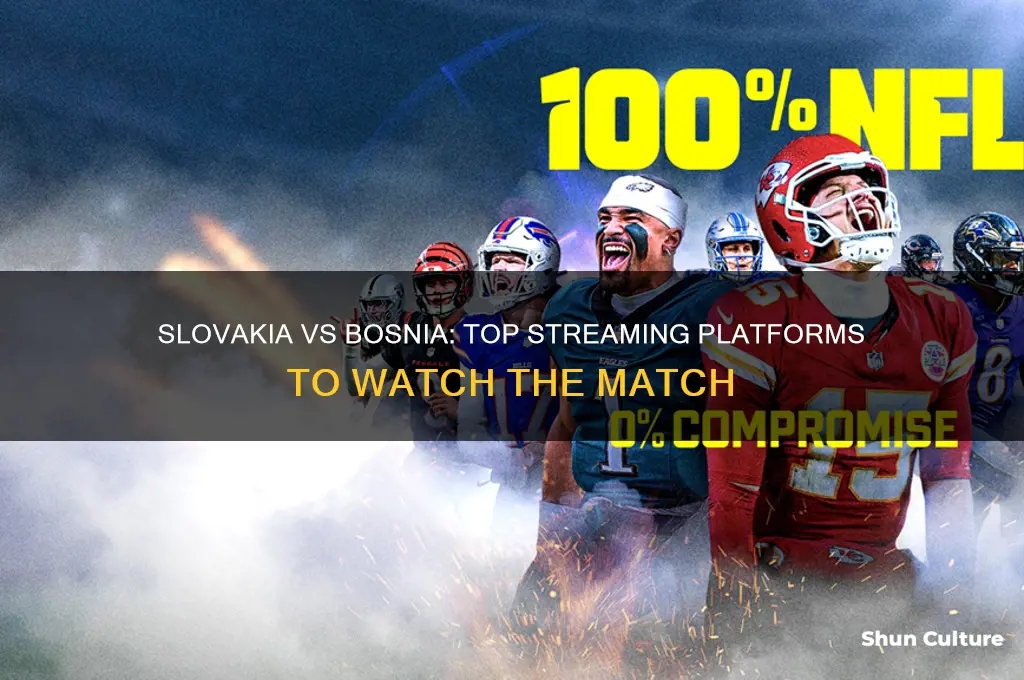 where to watch slovakia vs bosnia
