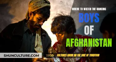 Witnessing the Dancing Boys of Afghanistan: A Cultural Journey