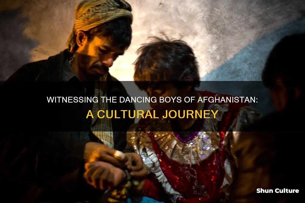 where to watch the dancing boys of afghanistan