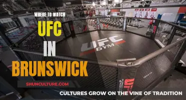 UFC in Brunswick: Best Bars to Watch