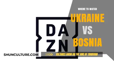 Ukraine vs Bosnia Live Stream: Best Platforms to Watch the Match