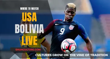 Watch USA vs Bolivia Live: Streaming Options Explored