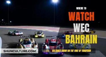 Best Platforms to Watch WEC Bahrain Live