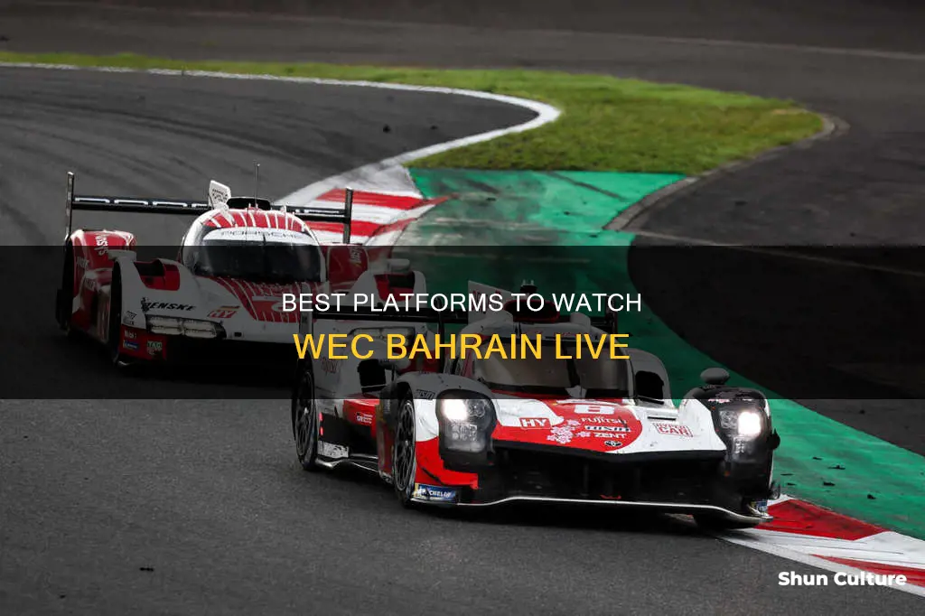 where to watch wec bahrain