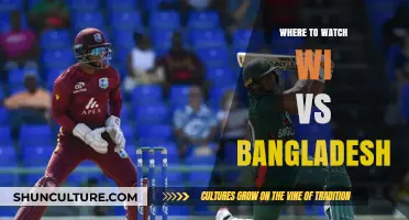 Where to Watch WI vs Bangladesh: Top Streaming Platforms