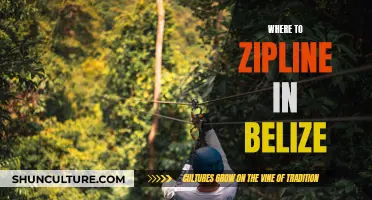 Zipline Adventures in Belize